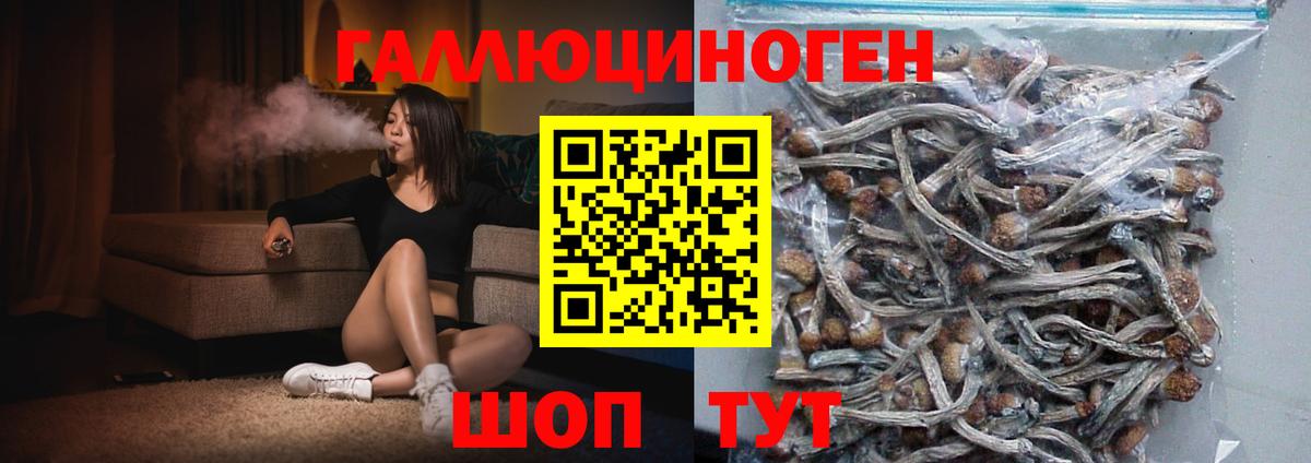 Псилоцибиновые грибы мицелий  Вход с VPN  Анжеро-Судженск 